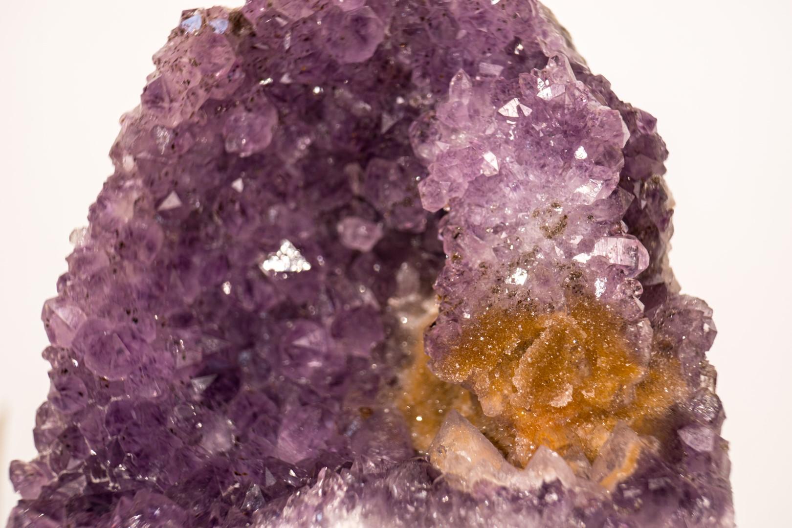 XXI secolo e contemporaneo Cluster di ametista con rara placca di rosetta di ametista e goethite dorata in vendita