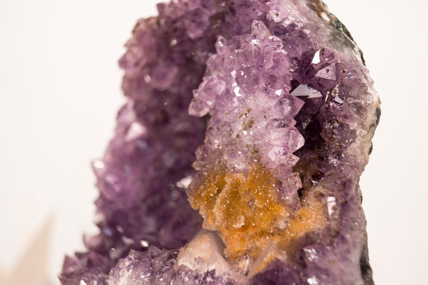 Cristallo Cluster di ametista con rara placca di rosetta di ametista e goethite dorata in vendita