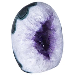 Amethyst Egg Geode Surrounded by Agate White Quartz and Green Celadonite