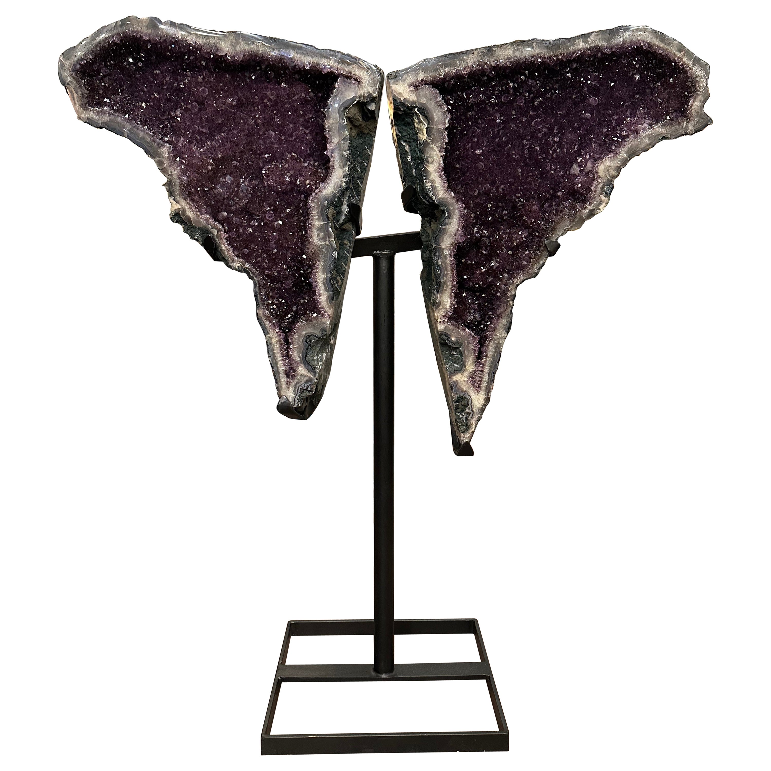 Oreilles d'éléphant en améthyste sur Stand