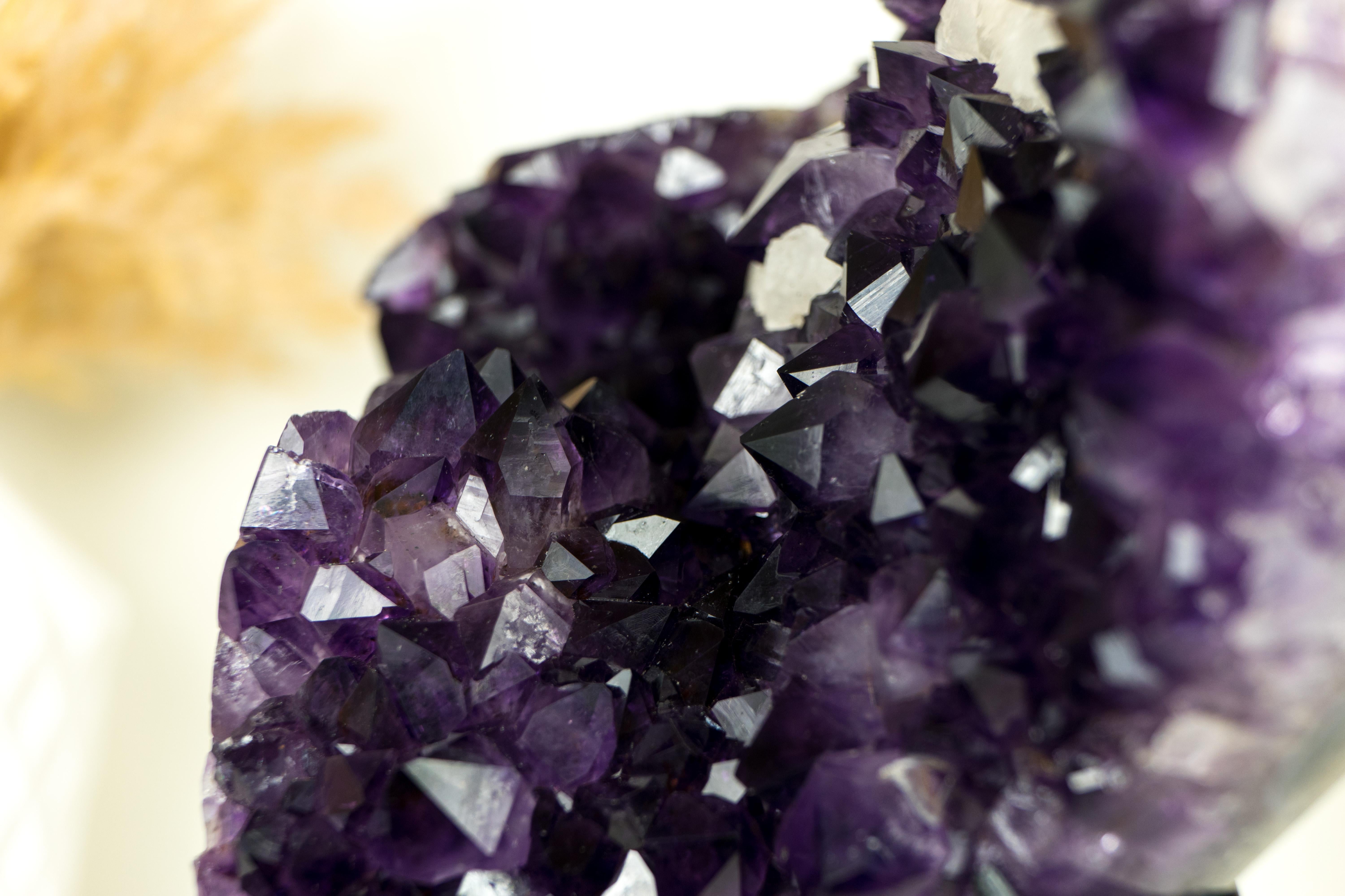 A beautiful Amethyst Cluster formed in a stunning Flower Formation, this piece showcases deep-toned Amethyst points accompanied by intact white calcite. It is undoubtedly a fantastic specimen that will add magnificence to your collection or