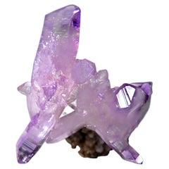 Amethyst aus Piedra Parada, Las Vigas de Ramírez, Veracruz, Mexiko (38 Gramm)