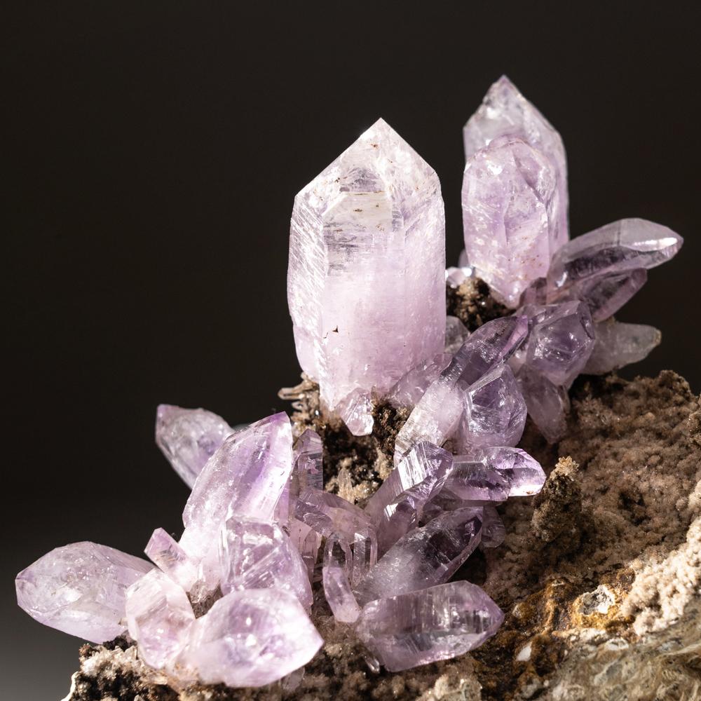 Beautiful specimen from Piedra Parada, Las Vigas de Ramirez, Veracruz, Mexico.

Many amethyst quartz crystals on matrix. The color varies from pink-purple at the base to medium purple at the terminations. The crystals are fully terminated with