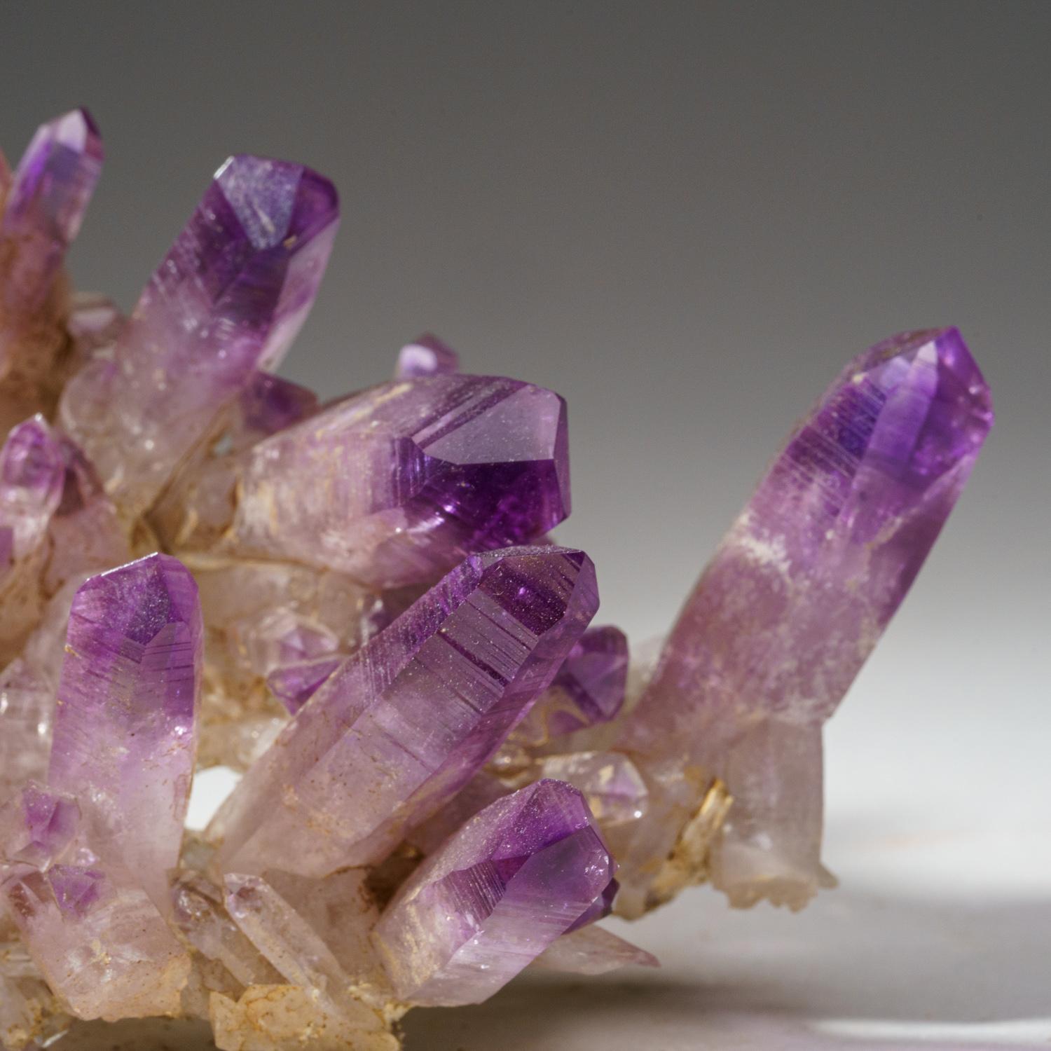 Aus Piedra Parada, Las Vigas de Ramirez, Veracruz, Mexiko.
Transparenter violetter Amethystquarzkristall mit glänzenden Kristallflächen und satter violetter Farbe mit gut definierter Phantomzonierung. Der Kristall ist vollständig mit glänzenden,