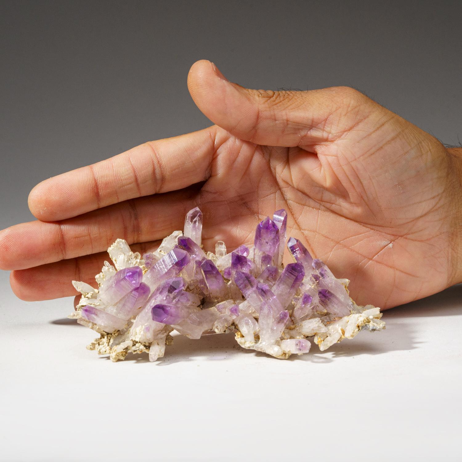 Mexican Amethyst from Piedra Parada, Las Vigas de Ramirez, Veracruz, Mexico For Sale