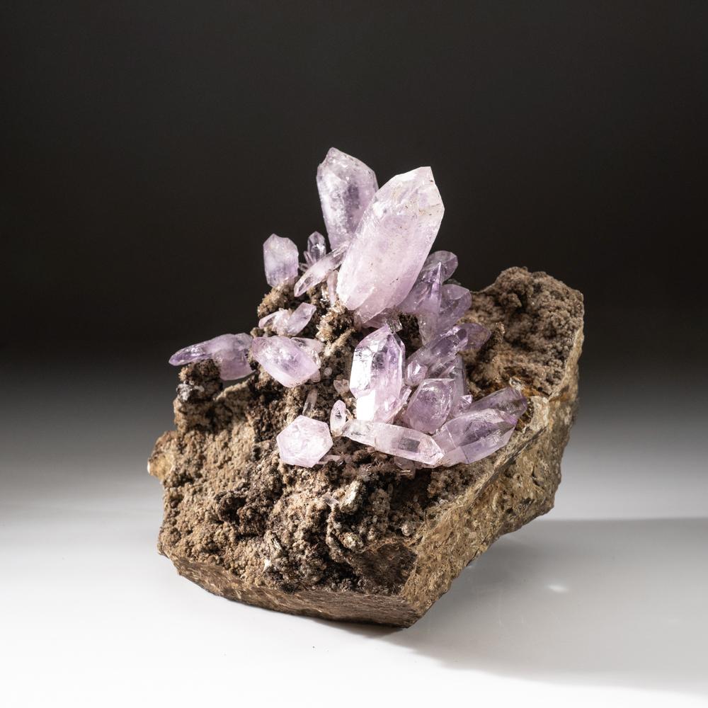 Amethyst aus Piedra Parada, Las Vigas de Ramirez, Veracruz, Mexiko im Angebot 2