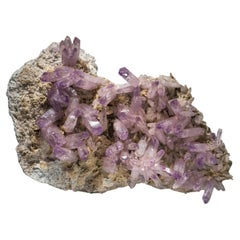 Antique Amethyst Crystals Mineral on a Parallel Formation from Veracruz, Mexico