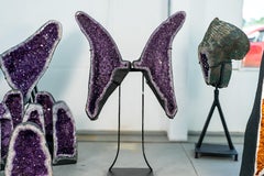 Ali di farfalla in geode di ametista con druzy viola scintillante