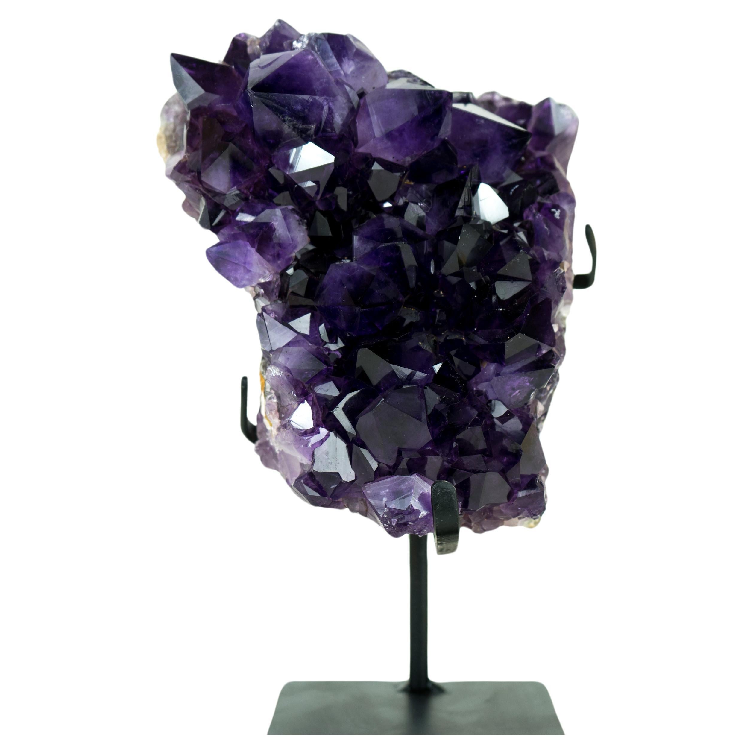 Amethyst Geode Cluster with AAA-Quality Dark, Saturated Purple Amethyst Druzy (grappe de géodes d'améthyste avec druzy d'améthyste violet foncé de qualité AAA) 