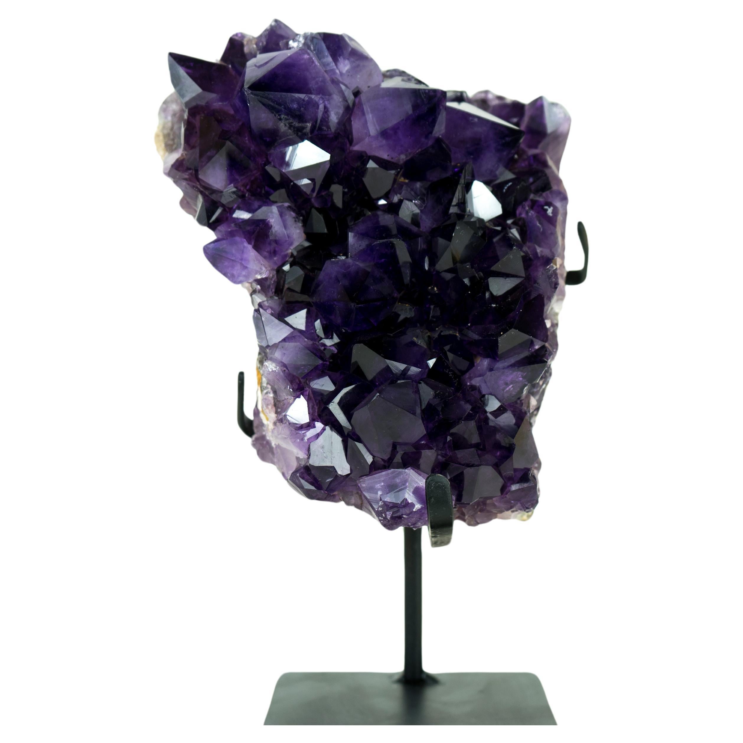Racimo de Geodas de Amatista con Druzy Amatista Púrpura Oscuro y Saturado de Calidad AAA