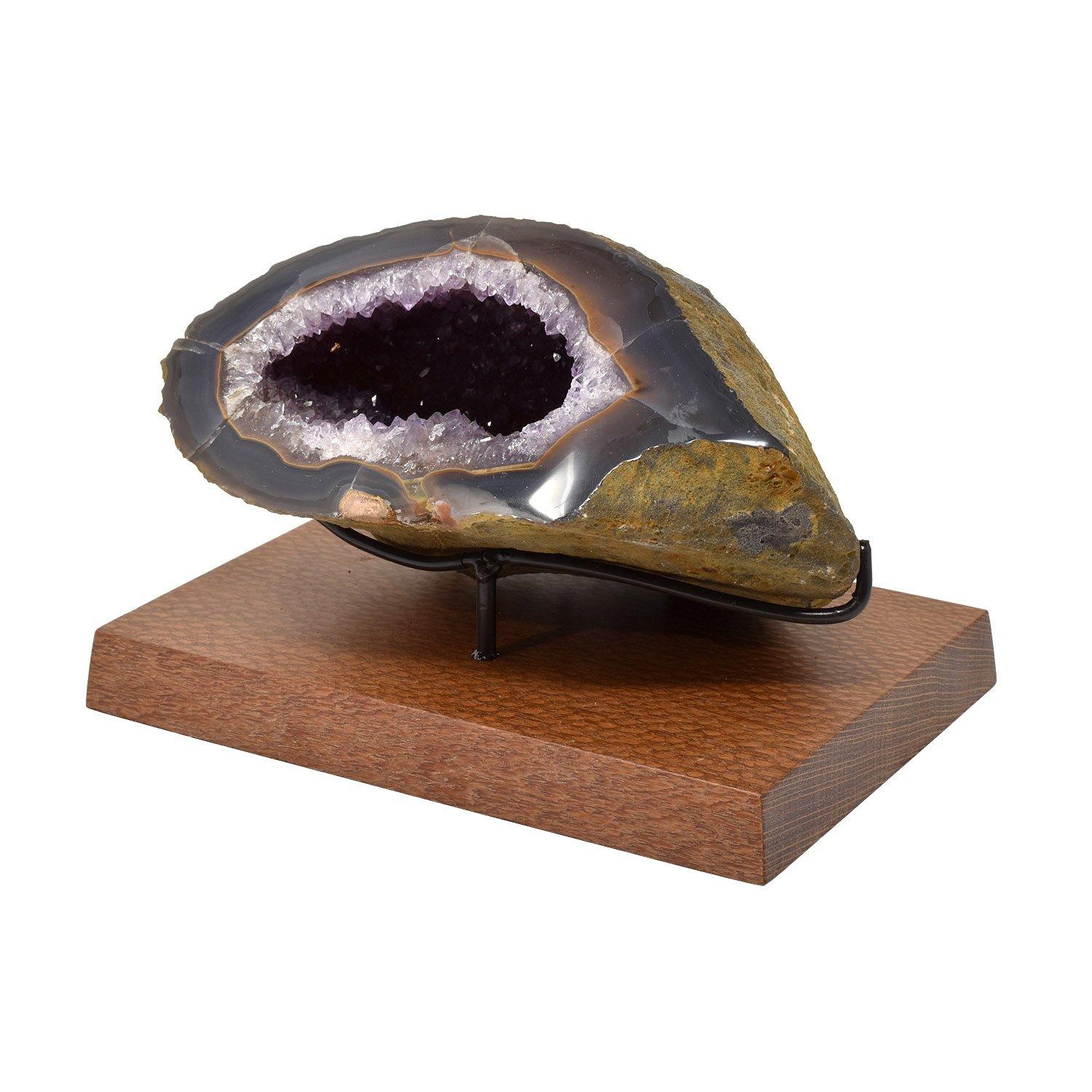 Geoda tallada y pulida con la silueta de un animal agazapado

Dimensiones: 7 anch. x 3,5 alt. x 4,5 prof. pulg./ 18 anch. x 9 alt. x 11,5 prof. cm.

Altura sobre soporte de madera de laca personalizado: 12 cm / 12,5 cm

Único en su género

La