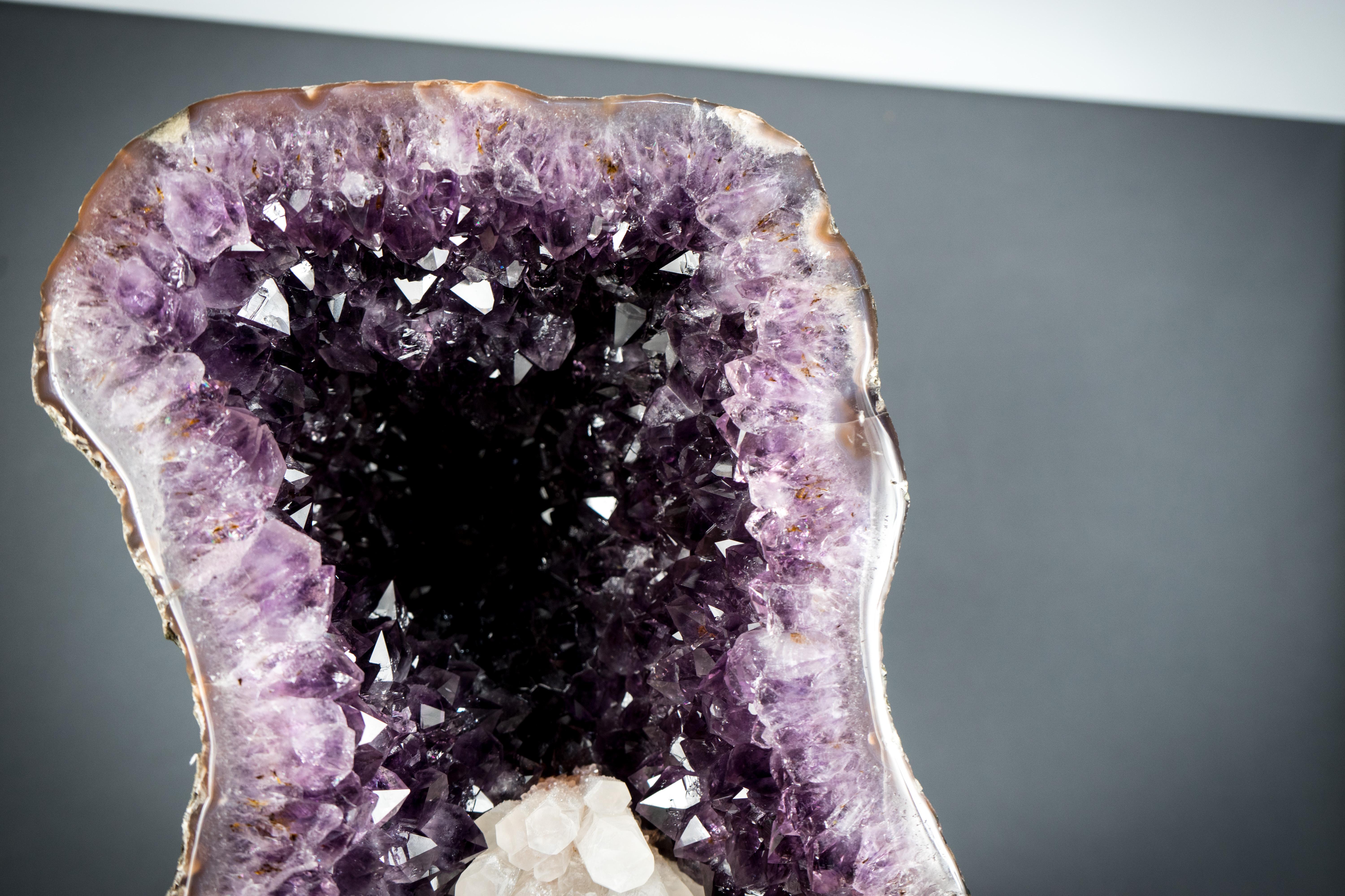 Geoda de amatista con gran amatista morada oscura y flor de calcita en galería en venta 1