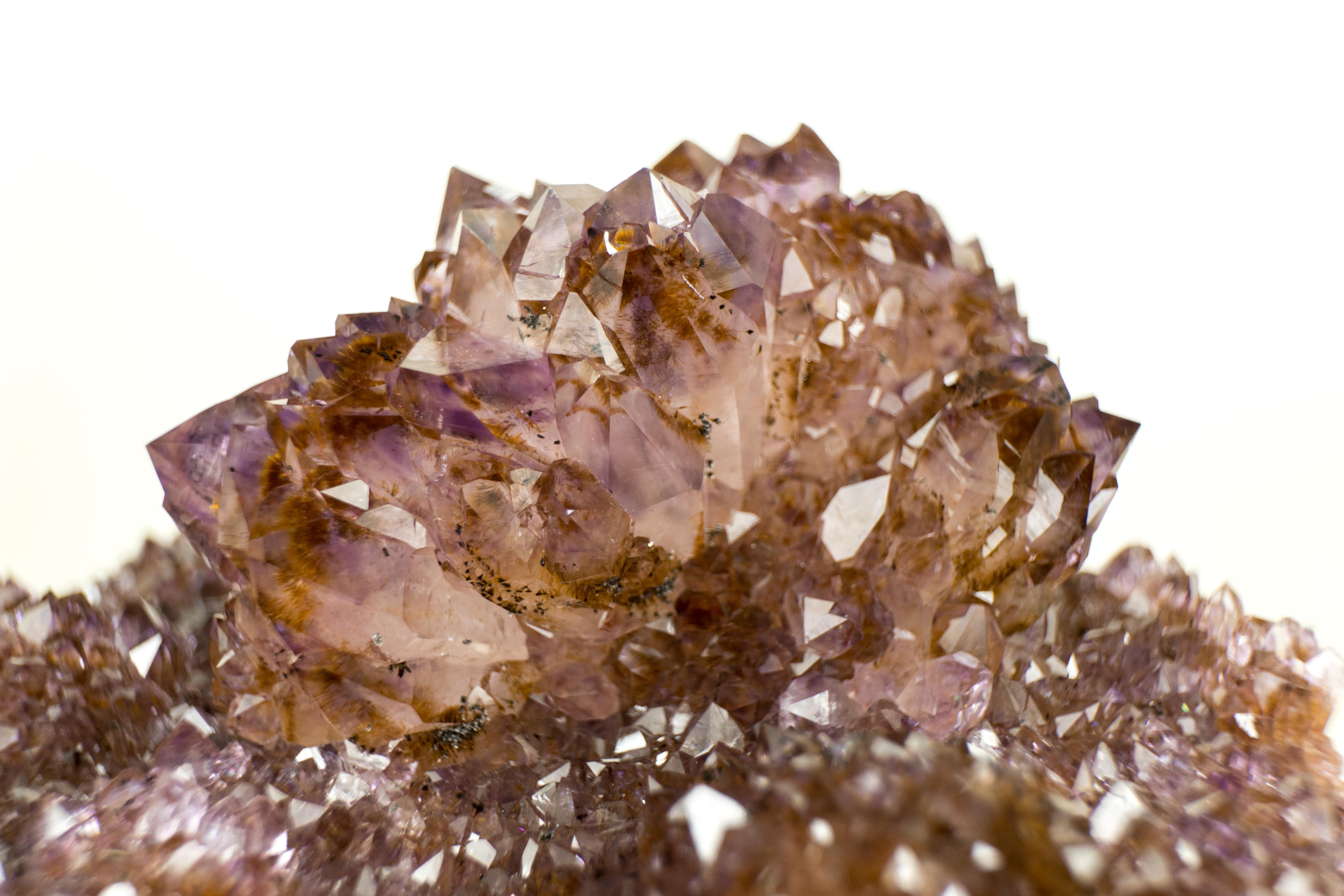 Amethyst Plate with Rare Golden Goethite (Cacoxenite) Amethyst Flower Rosettes For Sale 7