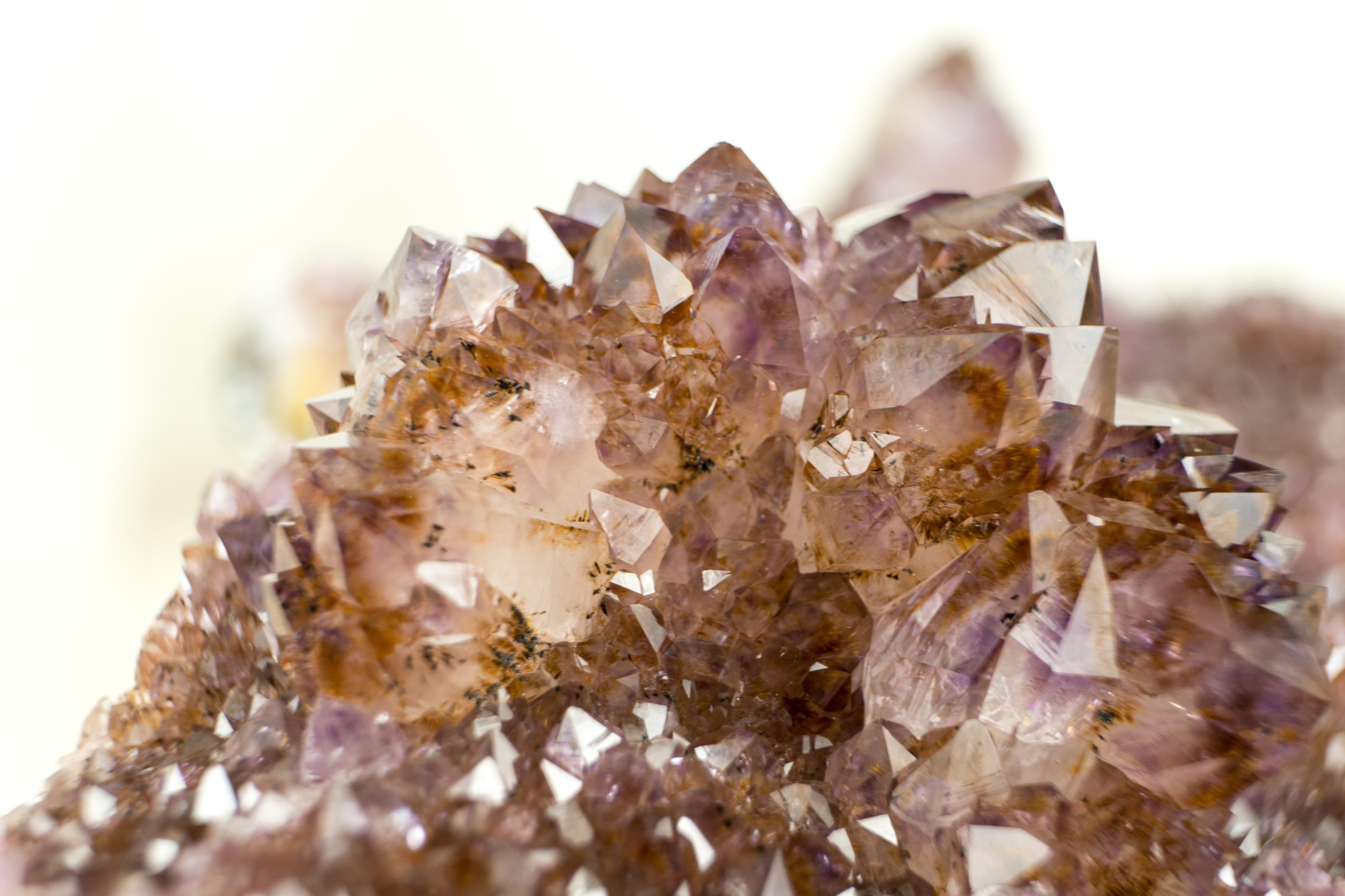 Rare, bringing world-class characteristics, this incredible Amethyst specimen is a one-of-a-kind natural sculpture to add to your Crystal Cabinet, surely deserving a top spot. 

This specimen has many highlights, but its main flower is a spectacle