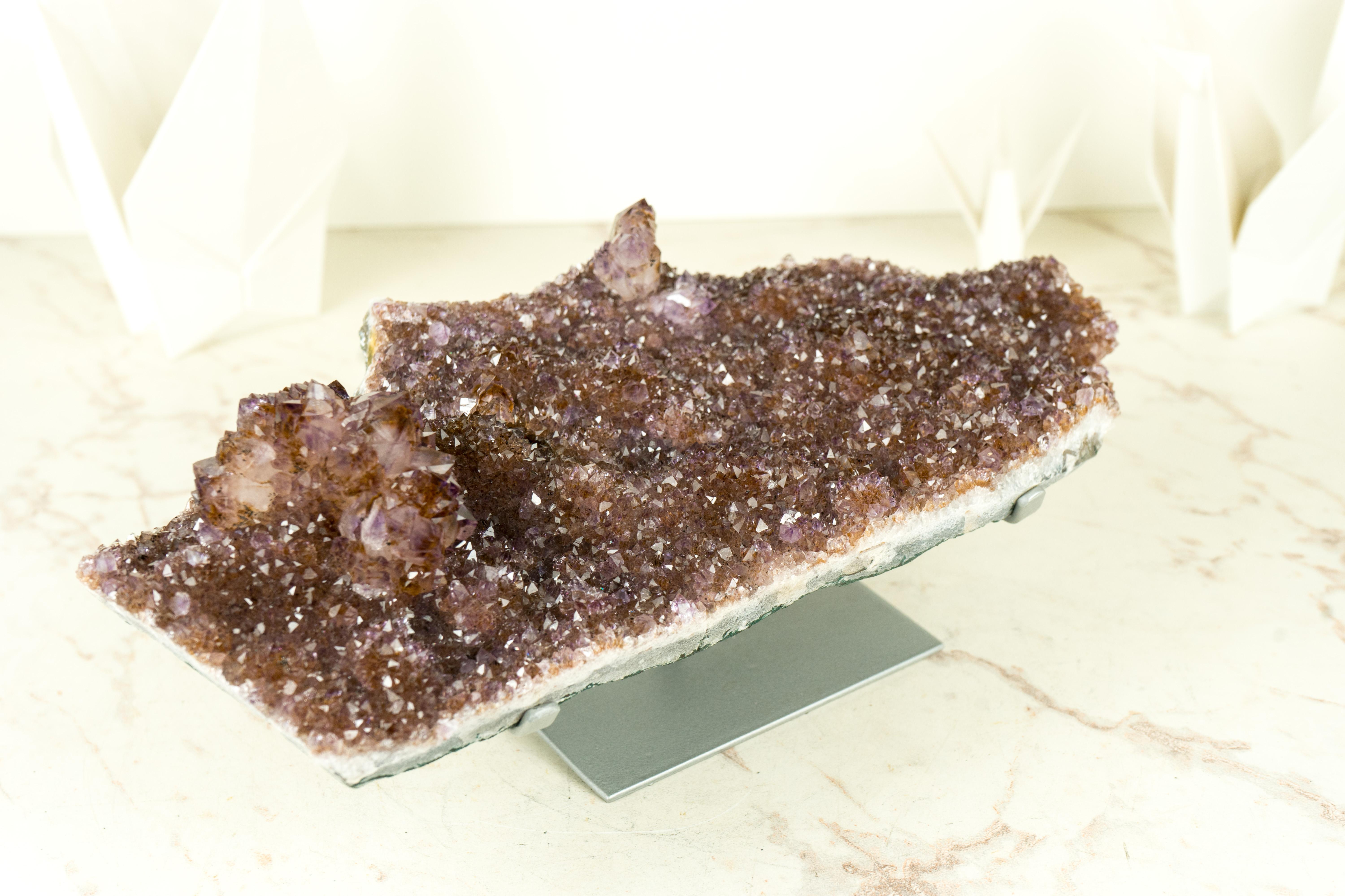 Contemporary Amethyst Plate with Rare Golden Goethite (Cacoxenite) Amethyst Flower Rosettes For Sale