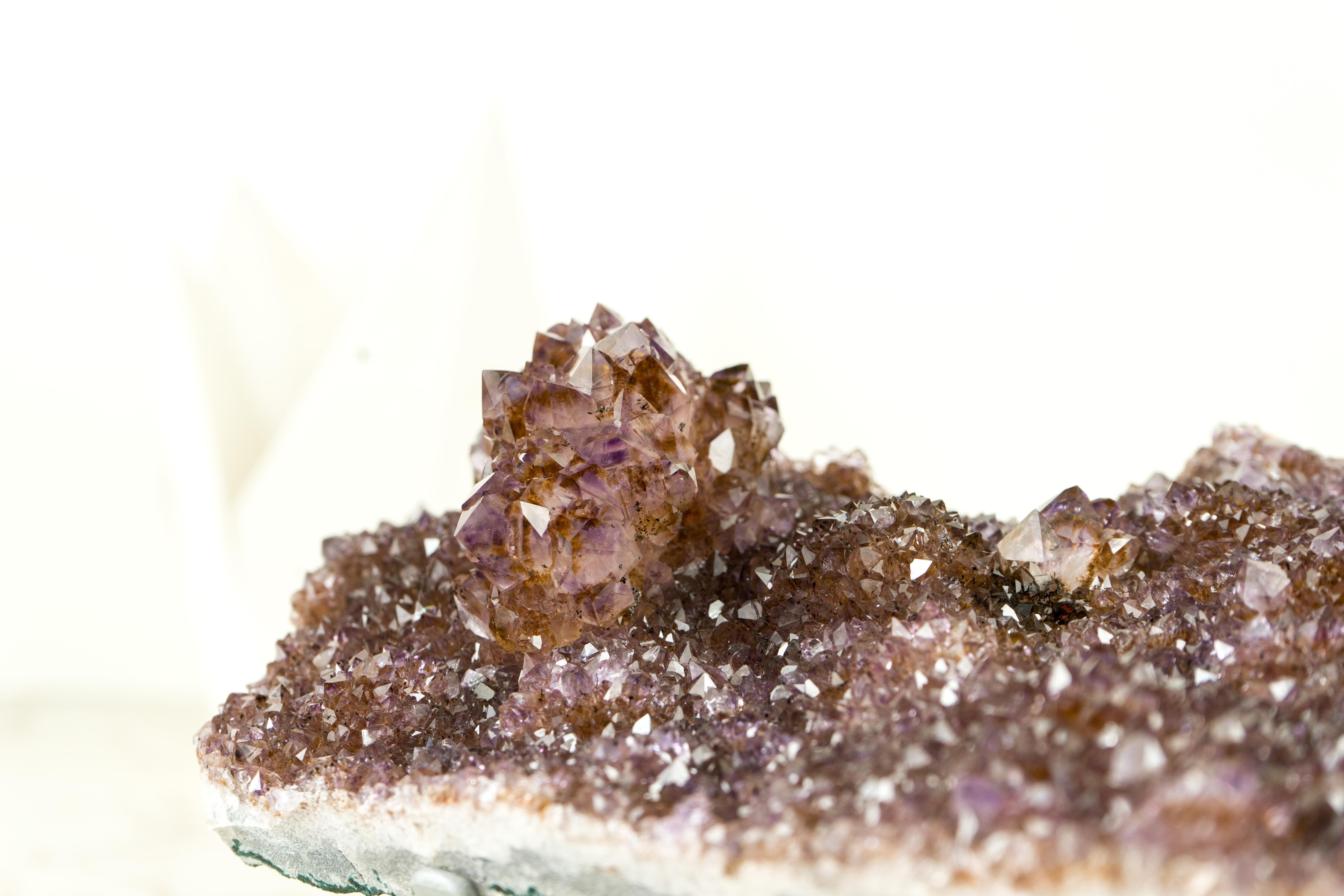 Agate Amethyst Plate with Rare Golden Goethite (Cacoxenite) Amethyst Flower Rosettes For Sale