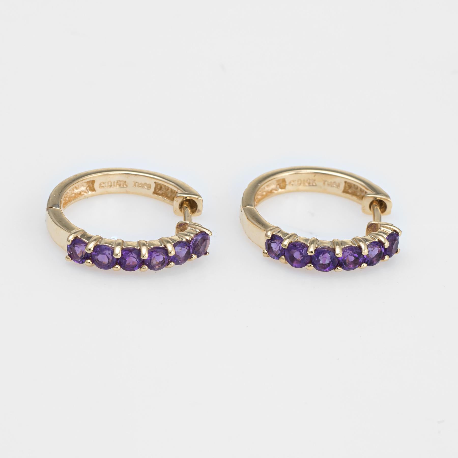 shrimp earrings hoops