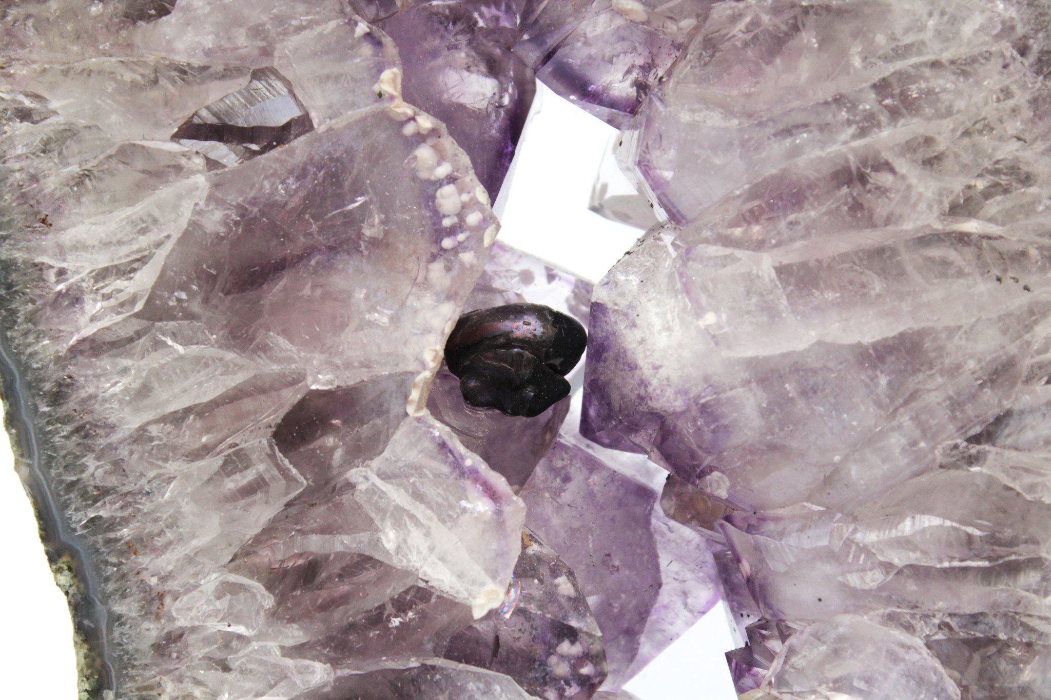 Amethystscheibe mit Kalziteinlagerungen und einer barocken, natürlich geformten Perle auf einem polierten Holzsockel.

Dieser Amethyst ist selten, weil er so groß ist und Kalzitablagerungen enthält. Sie stammt ursprünglich aus Brasilien. Er ist