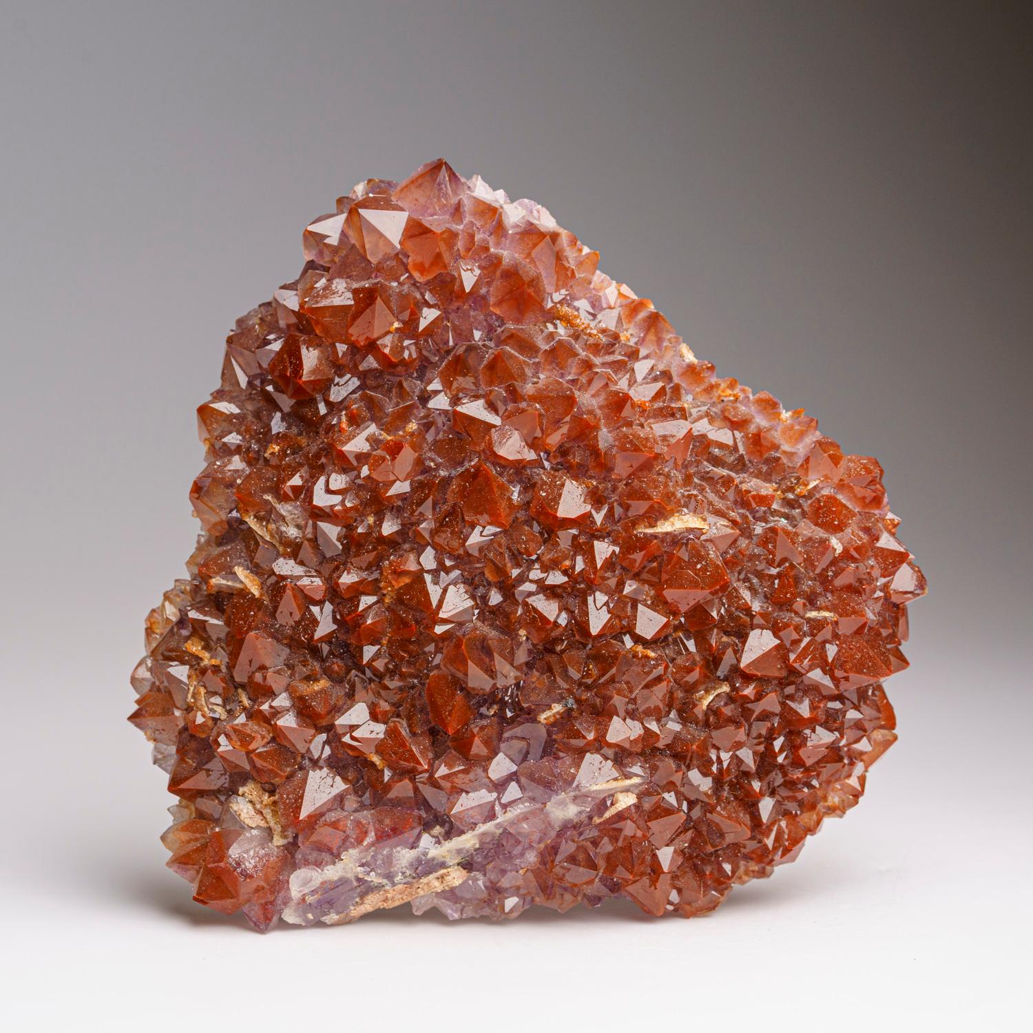 Un bellissimo esemplare classico di ametista brillante di Thunder Bay con ricche inclusioni di ematite rosso mattone. Il caratteristico colore rosso mattone uniforme in tutto l'esemplare, che si trova solo in questa regione. Il suo colore viola è