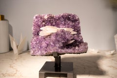 Amethyst with Rare UV-Reactive Calcite on Lavender Purple Druzy