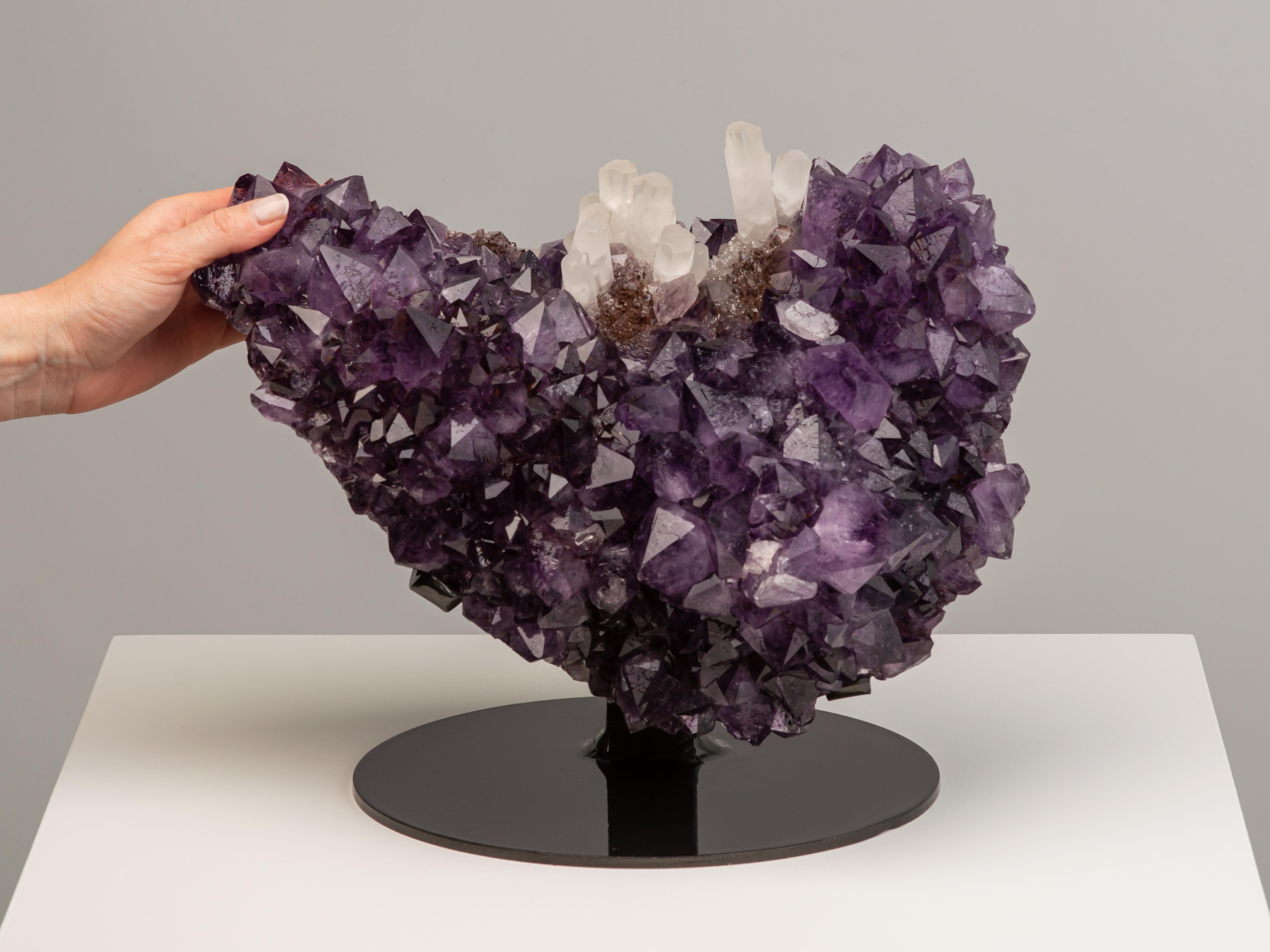 A spectacular amethyst cluster with two sets of unusual finger-like calcite
crystals on a bed of druzy quartz. The formation is a pleasing dark purple
colour with large peaks and is particularly notable for the gorgeous and
rare ametrine amethyst