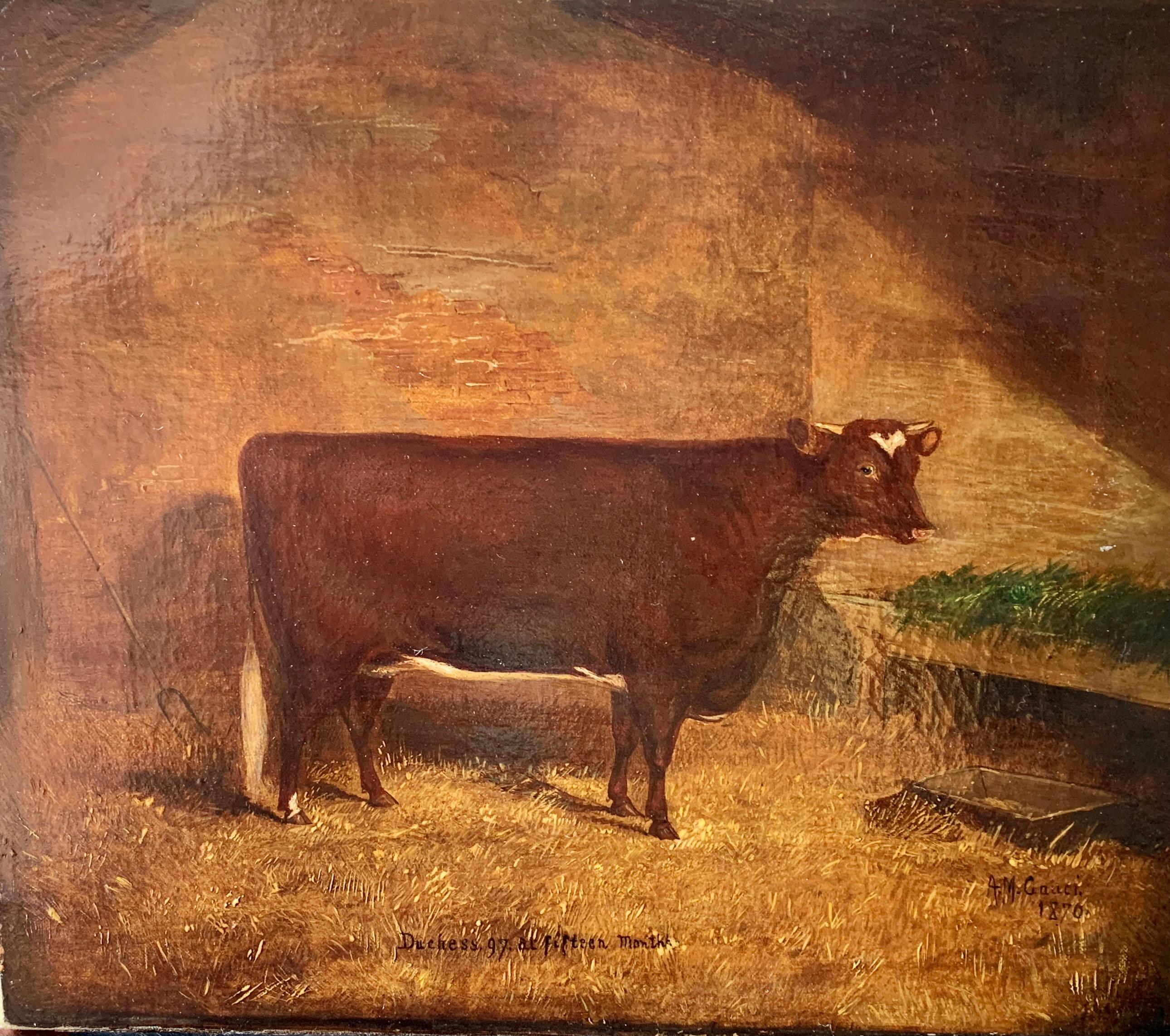 A.M.Gauci Animal Painting - 19th Century English Folk art portrait of a Prize winning Cow in a stable