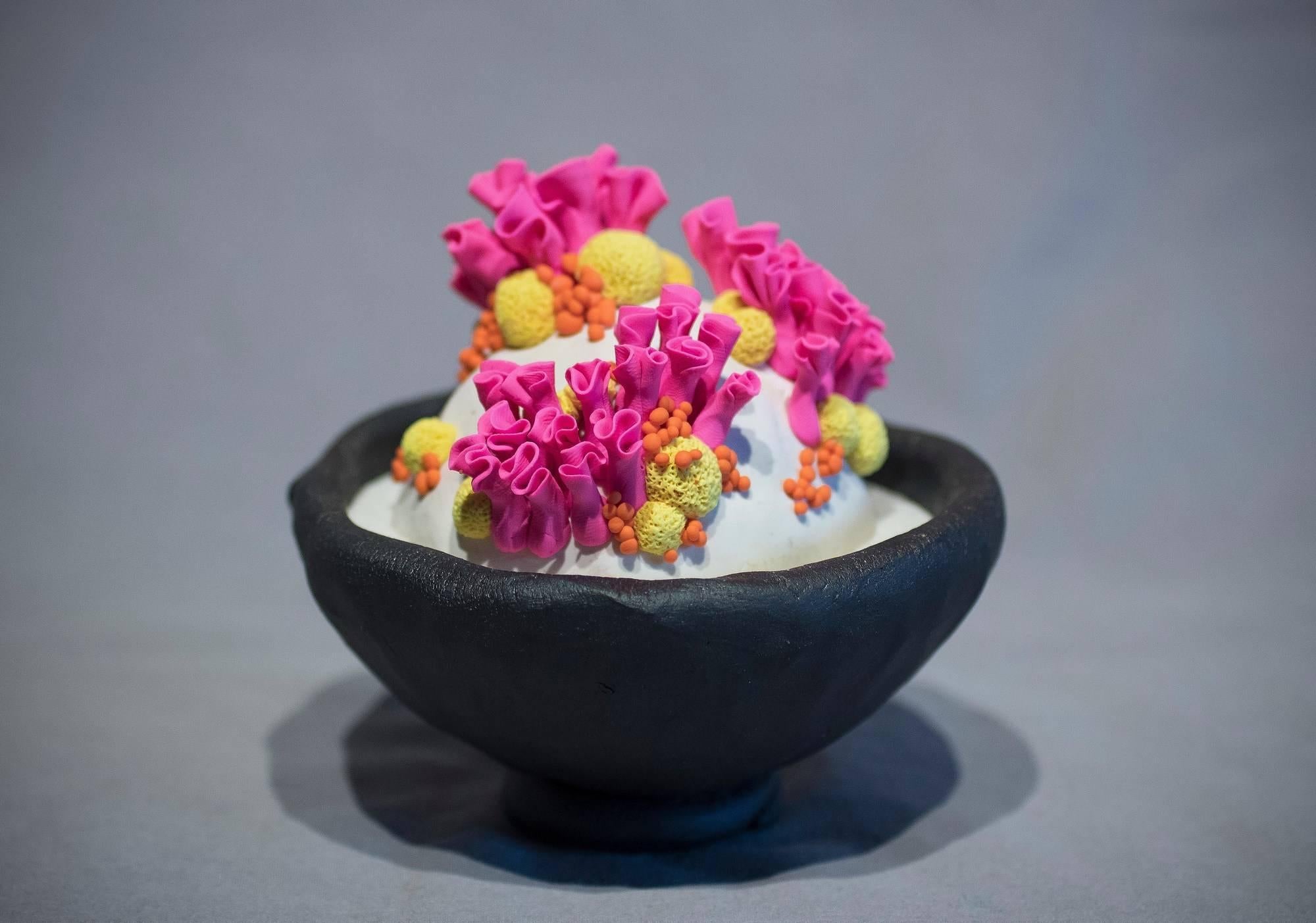 Anthozoa Cora - Art Contemporaneo di Ami Ayars