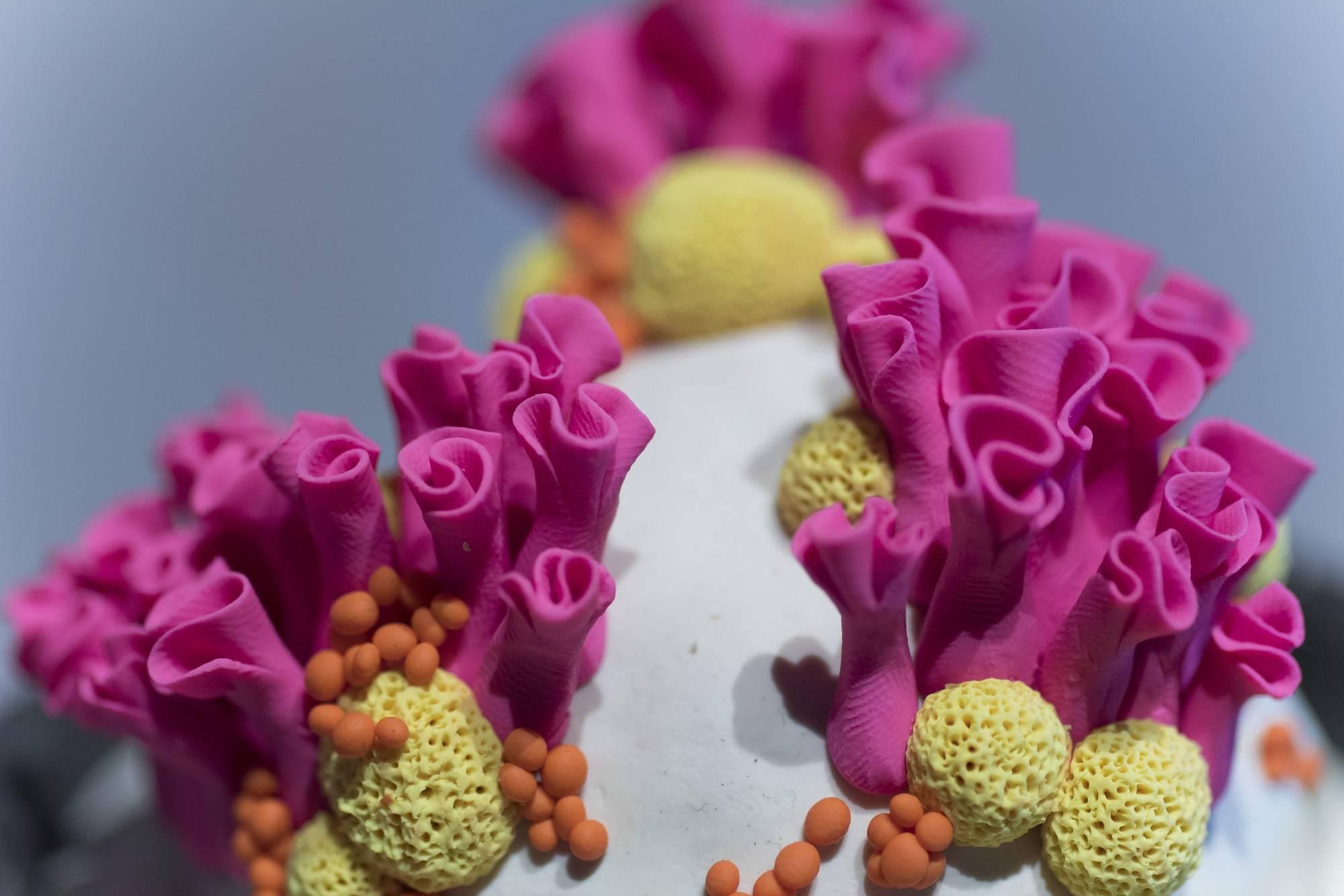 Anthozoa Cora - Art di Ami Ayars
