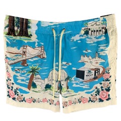 AMIRI SS23 CALIFORNIA HAWAIIAN Size 36 Blue Graphic Polyester Blend Drawstring Swim Trunks