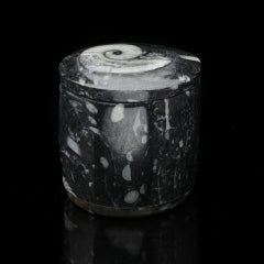 Contenitore per fossili di Ammonite e Belemnite intagliato a mano - Nature Decor