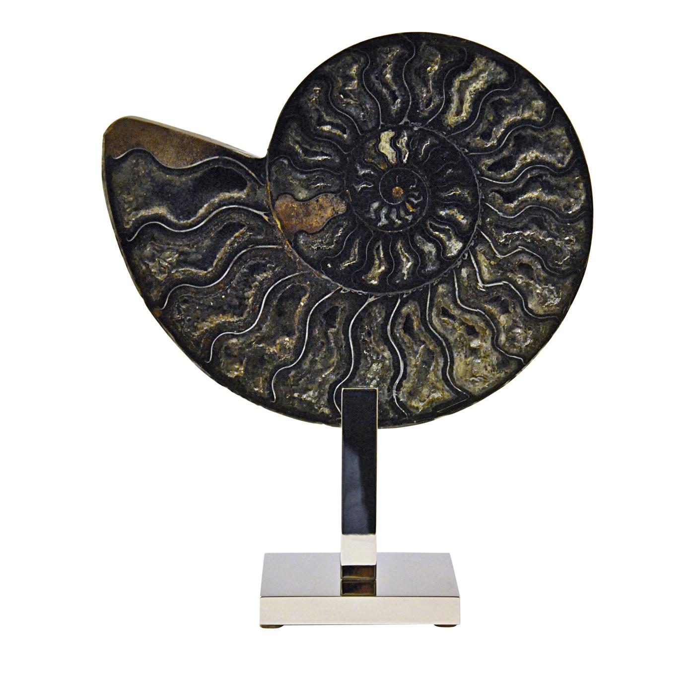 With its earth tones nuances, this magnificent piece features an ammonite fossil cut in half to reveal its inner structure, placed on a Minimalist brass base with a polished silver finish. Appreciated for their spectacular ornamental displays, this