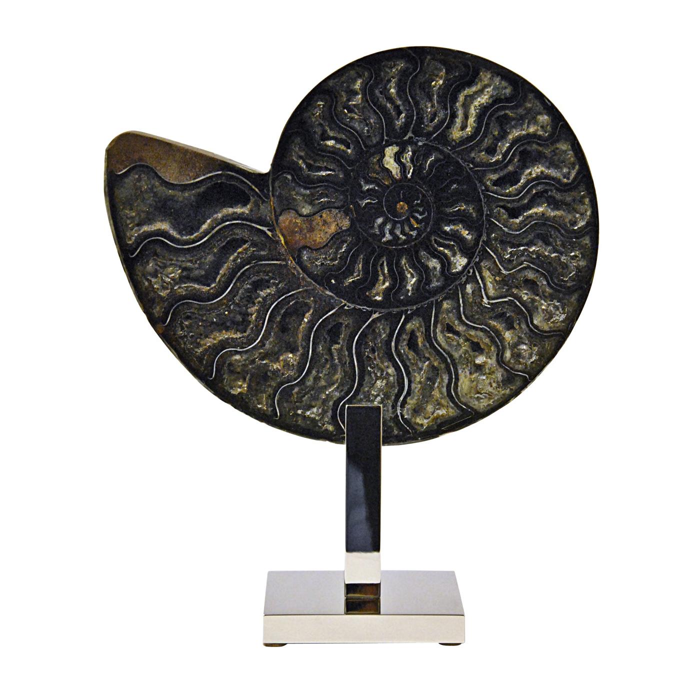Ammonite Black Sculpture