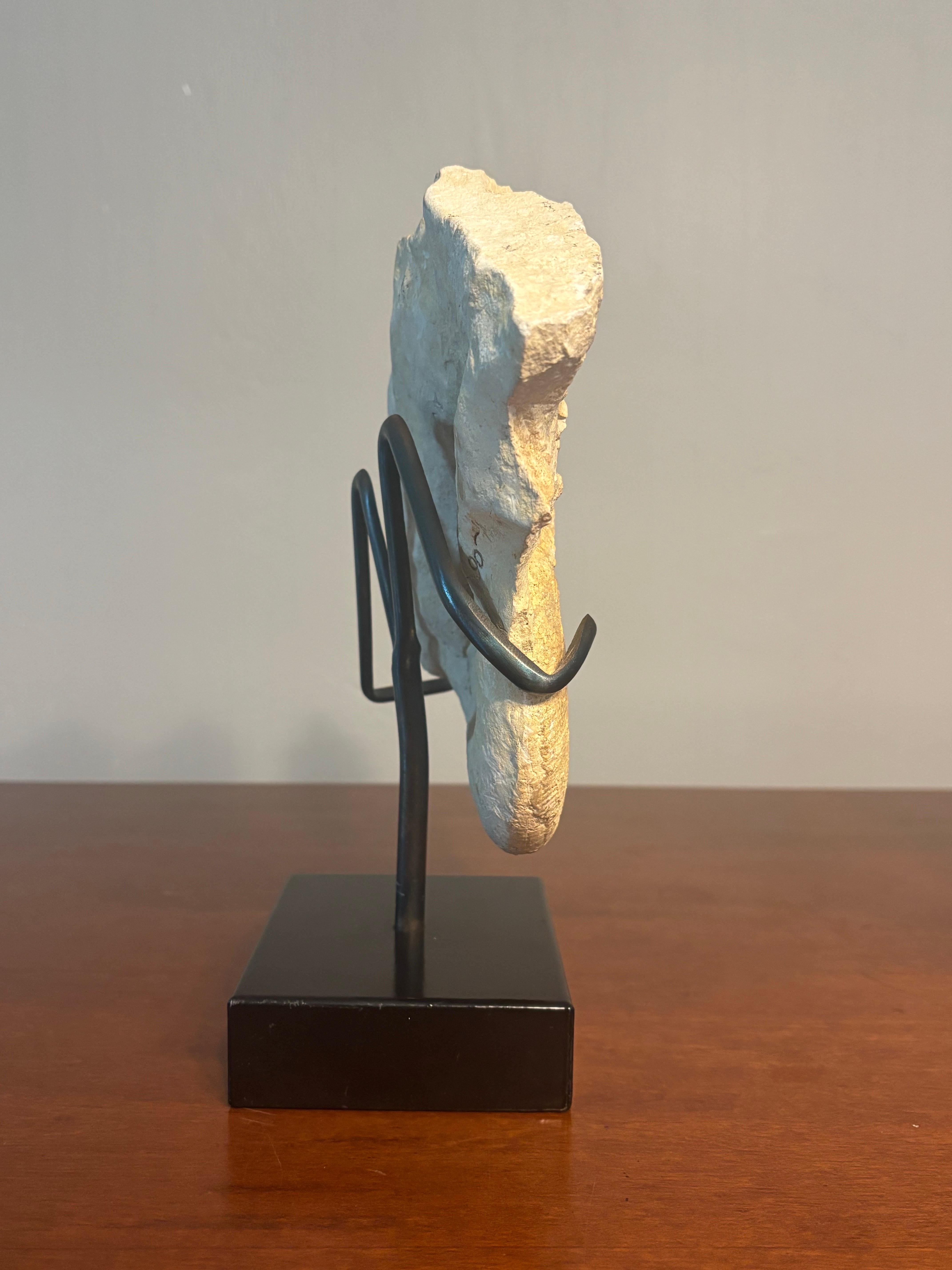 Ammonite Fossil Cluster on Metal Stand. For Sale 2