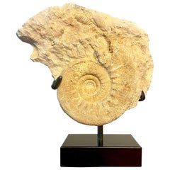 Antiquities