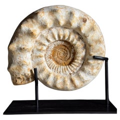 Sculptures