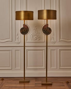 Ammonites Floor Lamps