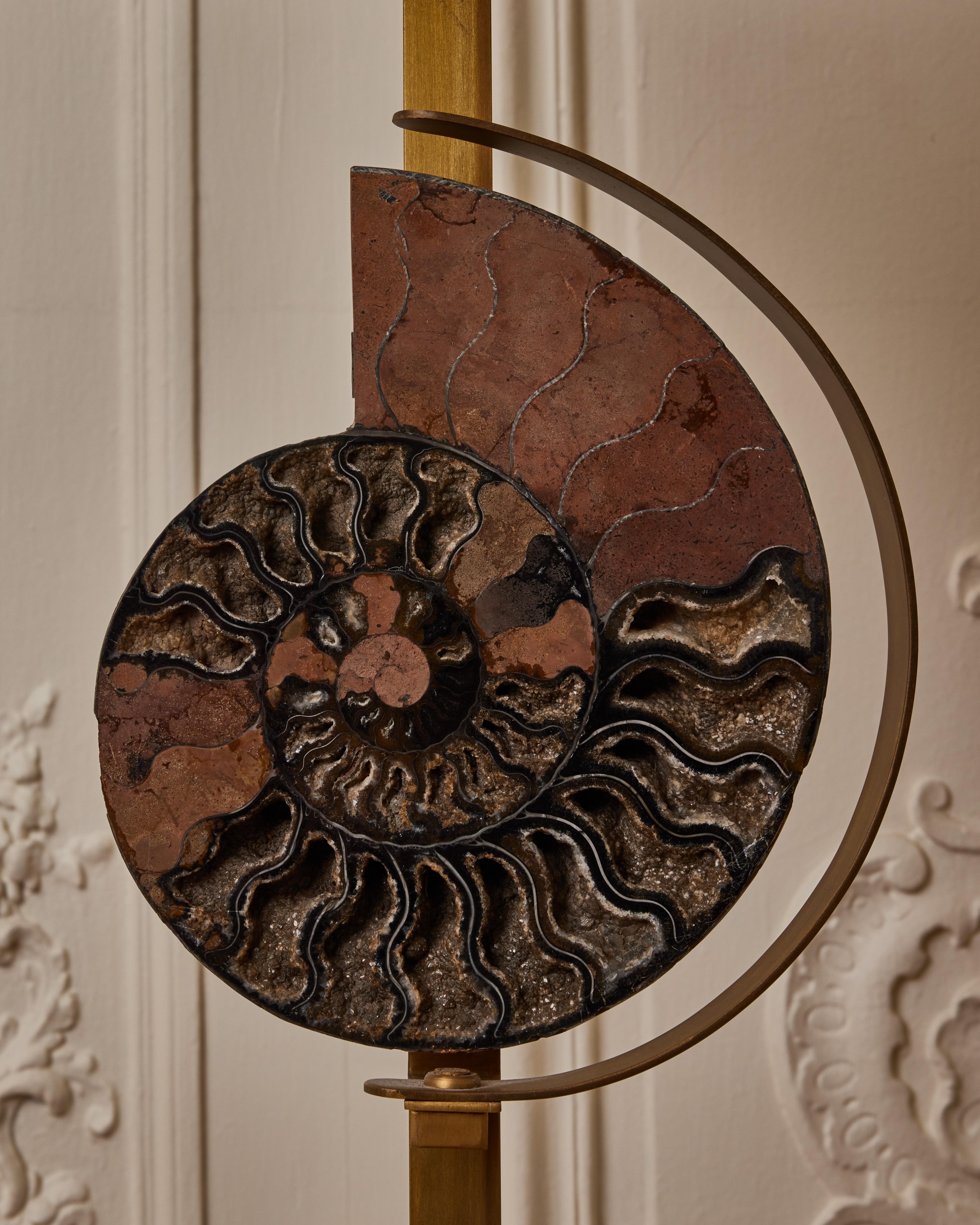 French Ammonites Floor Lamps For Sale