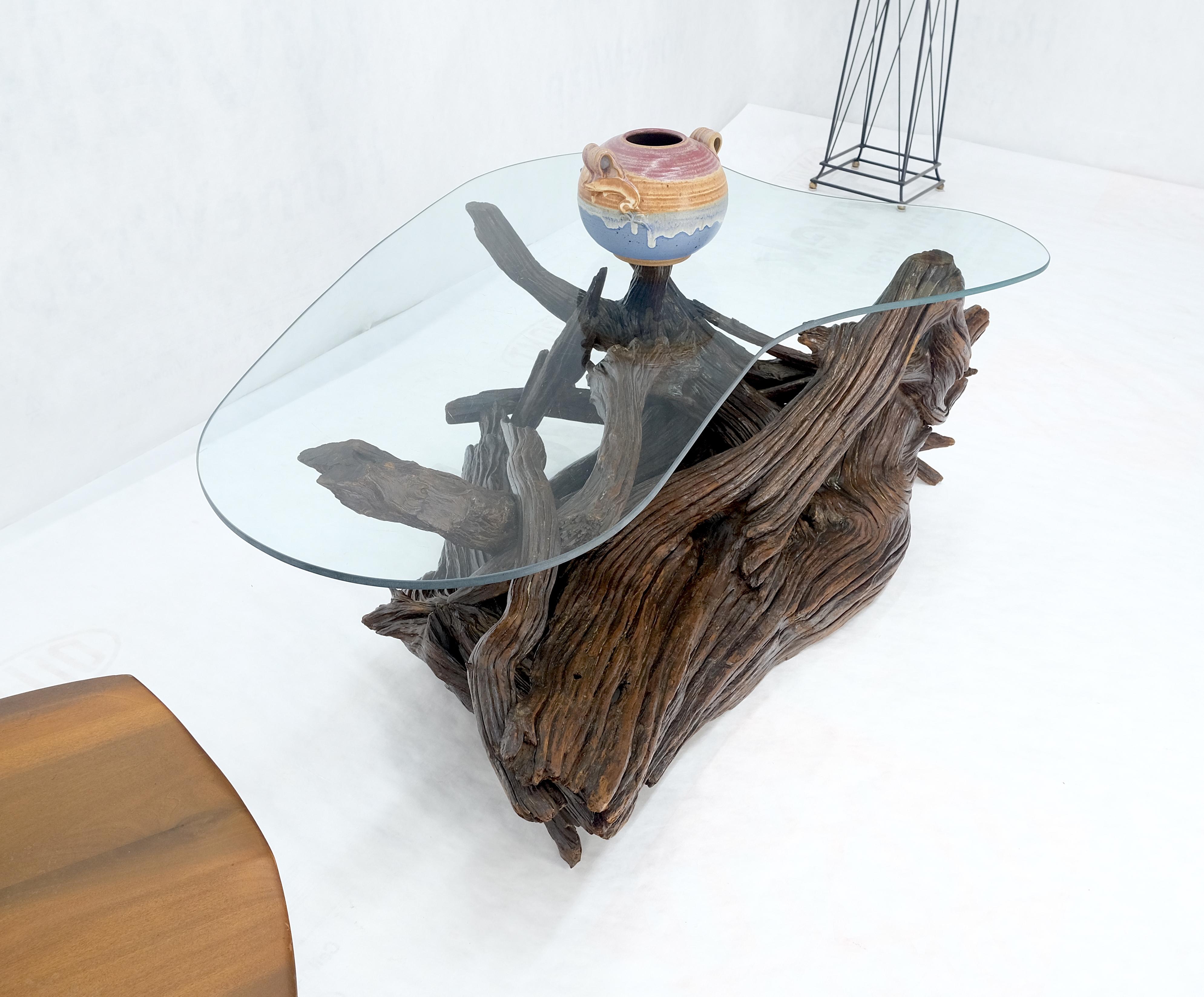 Amoeba Glass Top Organic Drift Wood Base Coffee Center Table MINT! For Sale 5
