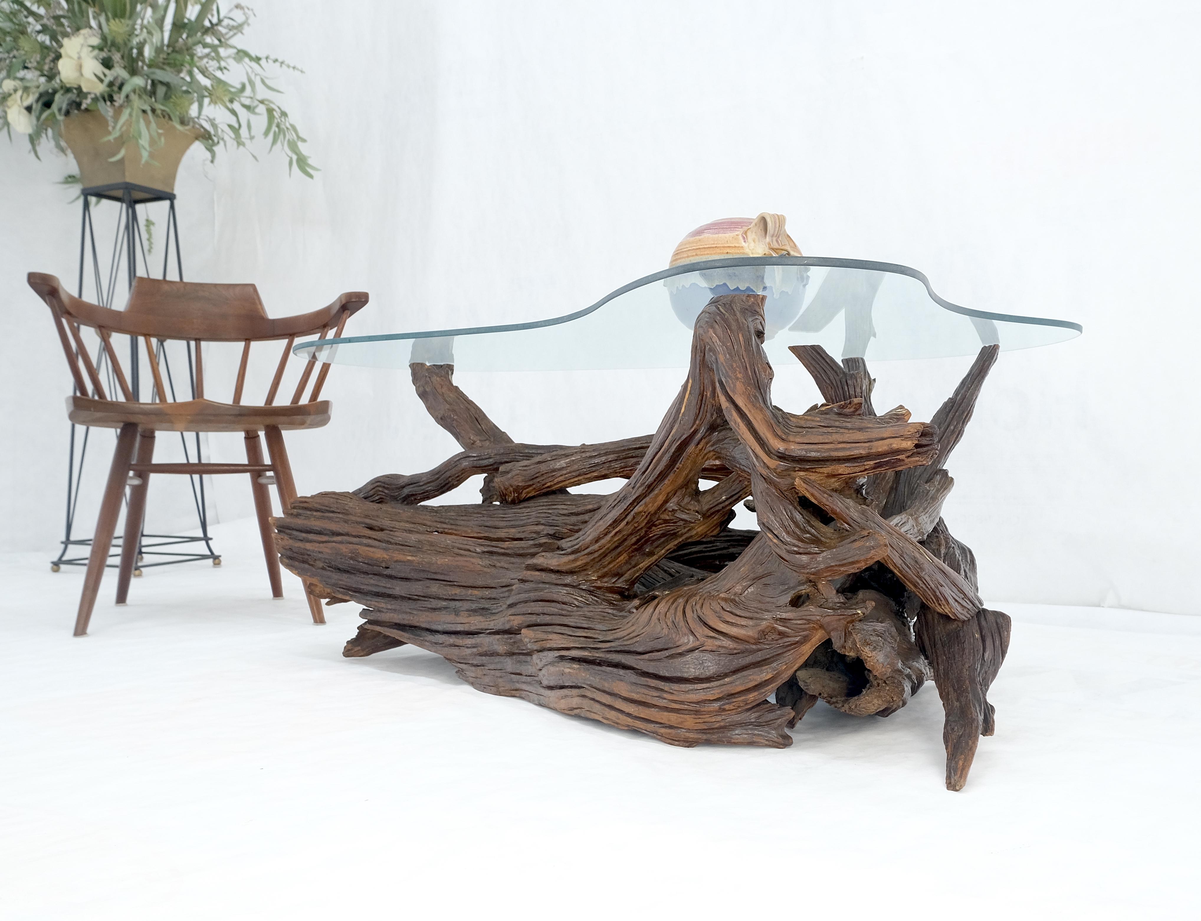 American Amoeba Glass Top Organic Drift Wood Base Coffee Center Table MINT! For Sale
