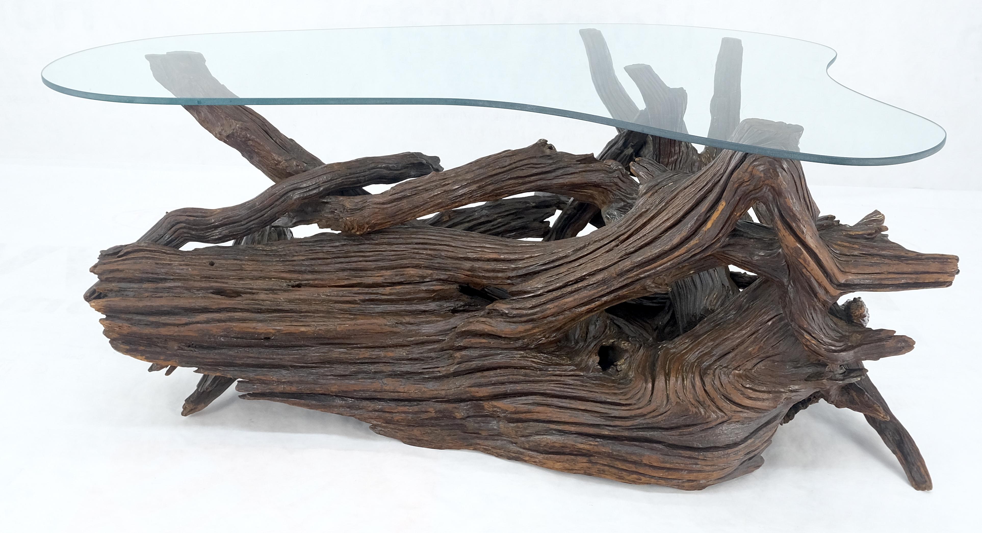 Lacquered Amoeba Glass Top Organic Drift Wood Base Coffee Center Table MINT! For Sale