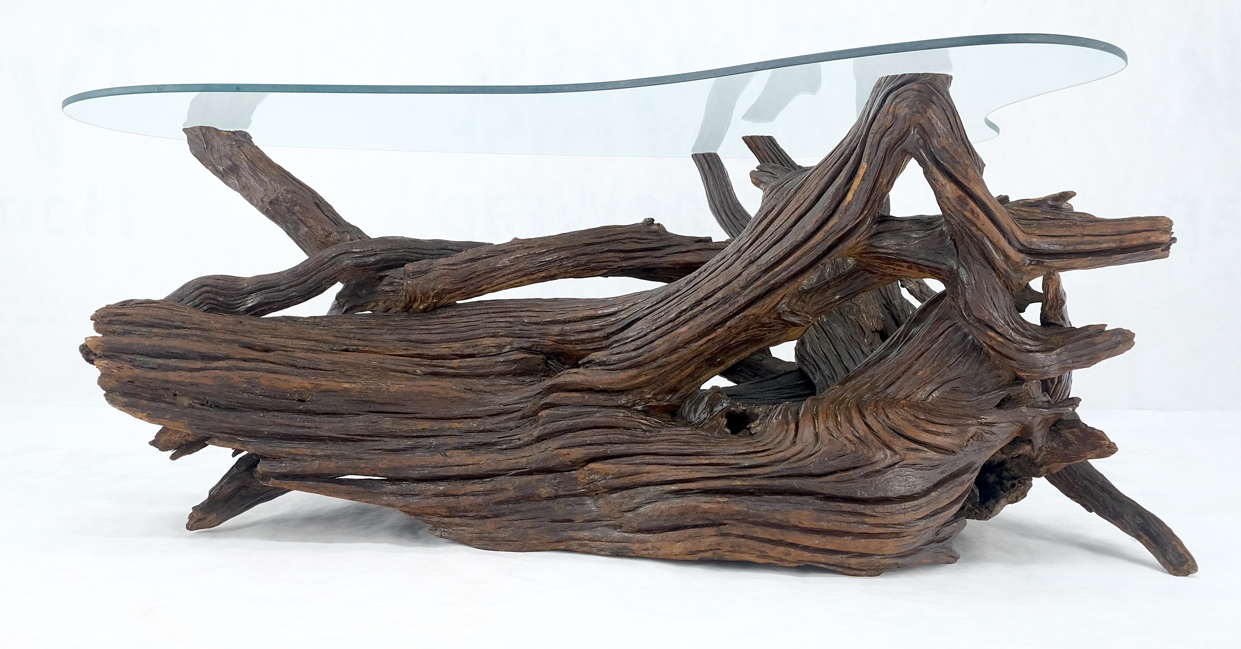 Lacquered Amoeba Glass Top Organic Drift Wood Base Coffee Center Table MINT! For Sale