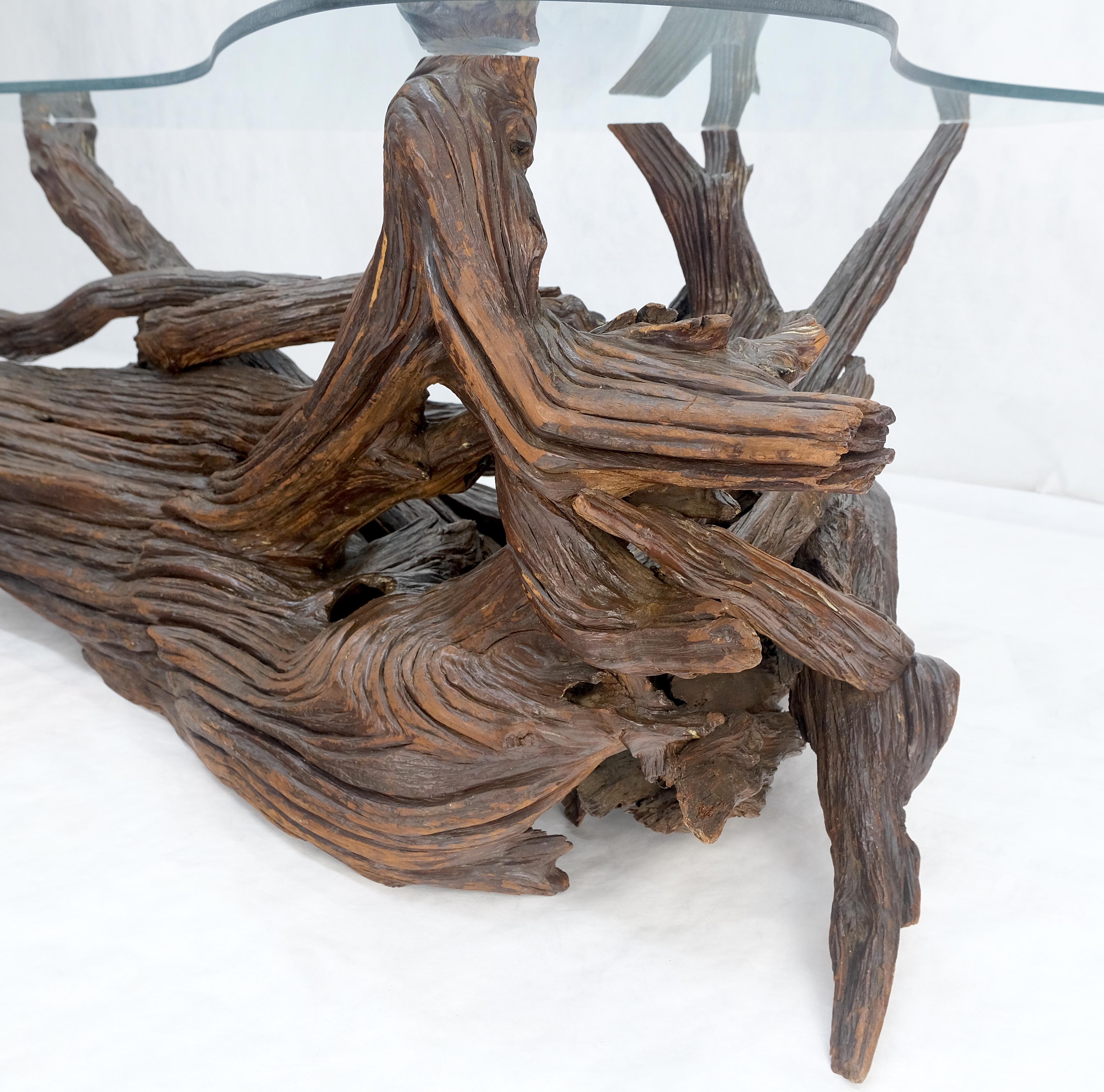 20ième siècle Table basse centrale en verre Amoeba avec base en bois flotté organique MINT ! en vente