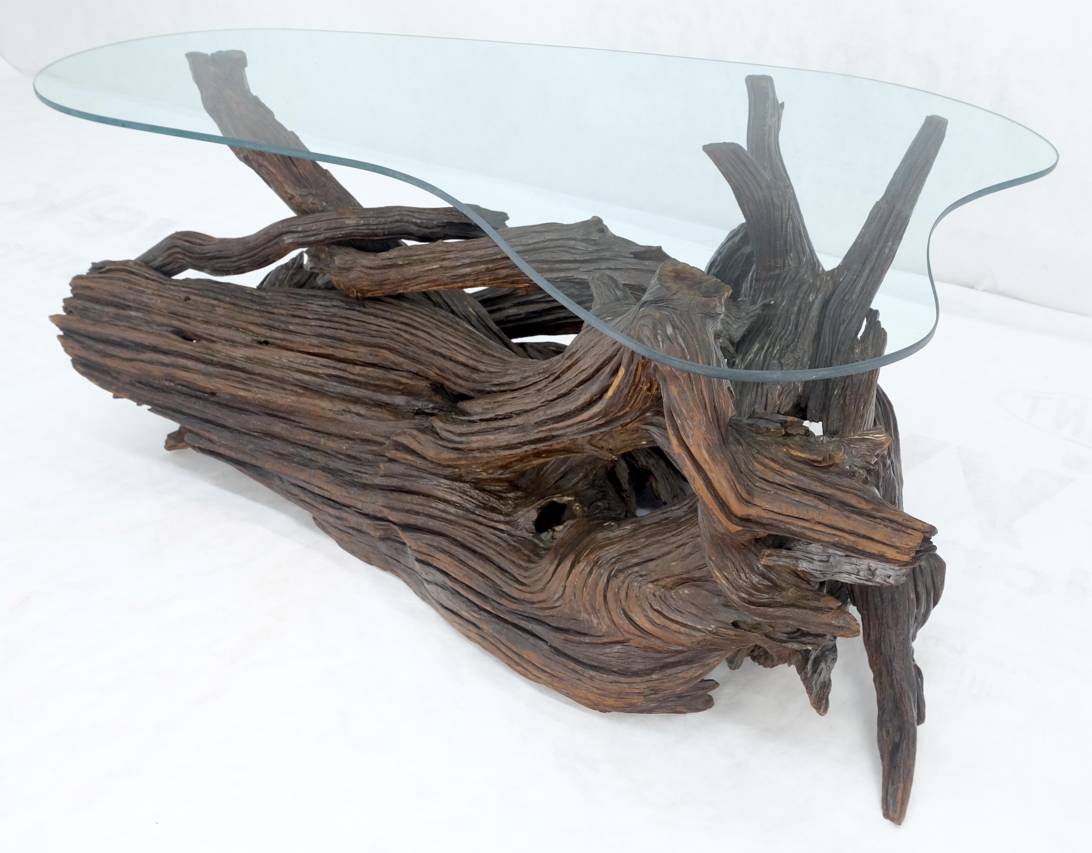 Verre Table basse centrale en verre Amoeba avec base en bois flotté organique MINT ! en vente