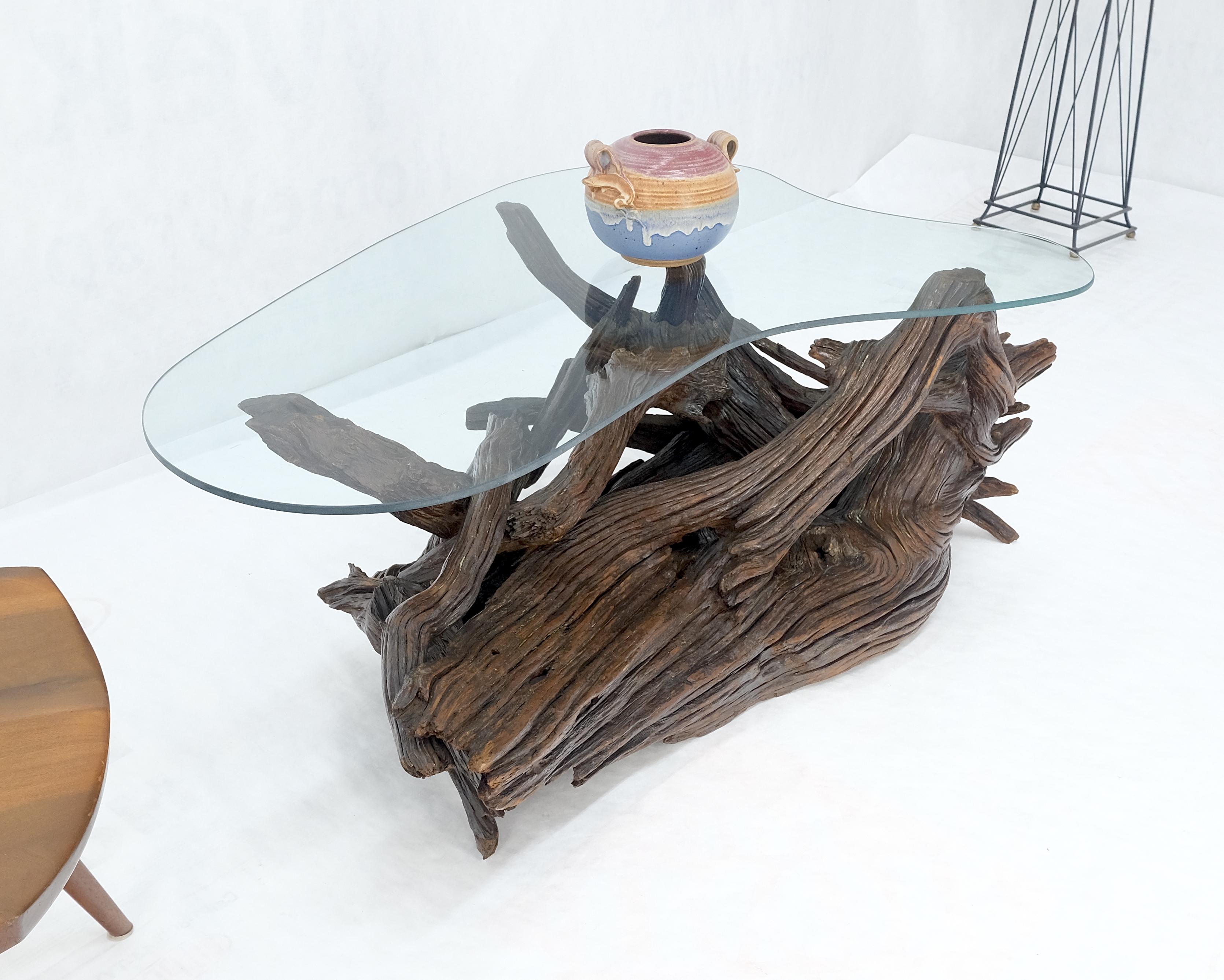 Amoeba Glass Top Organic Drift Wood Base Coffee Center Table MINT! For Sale 3