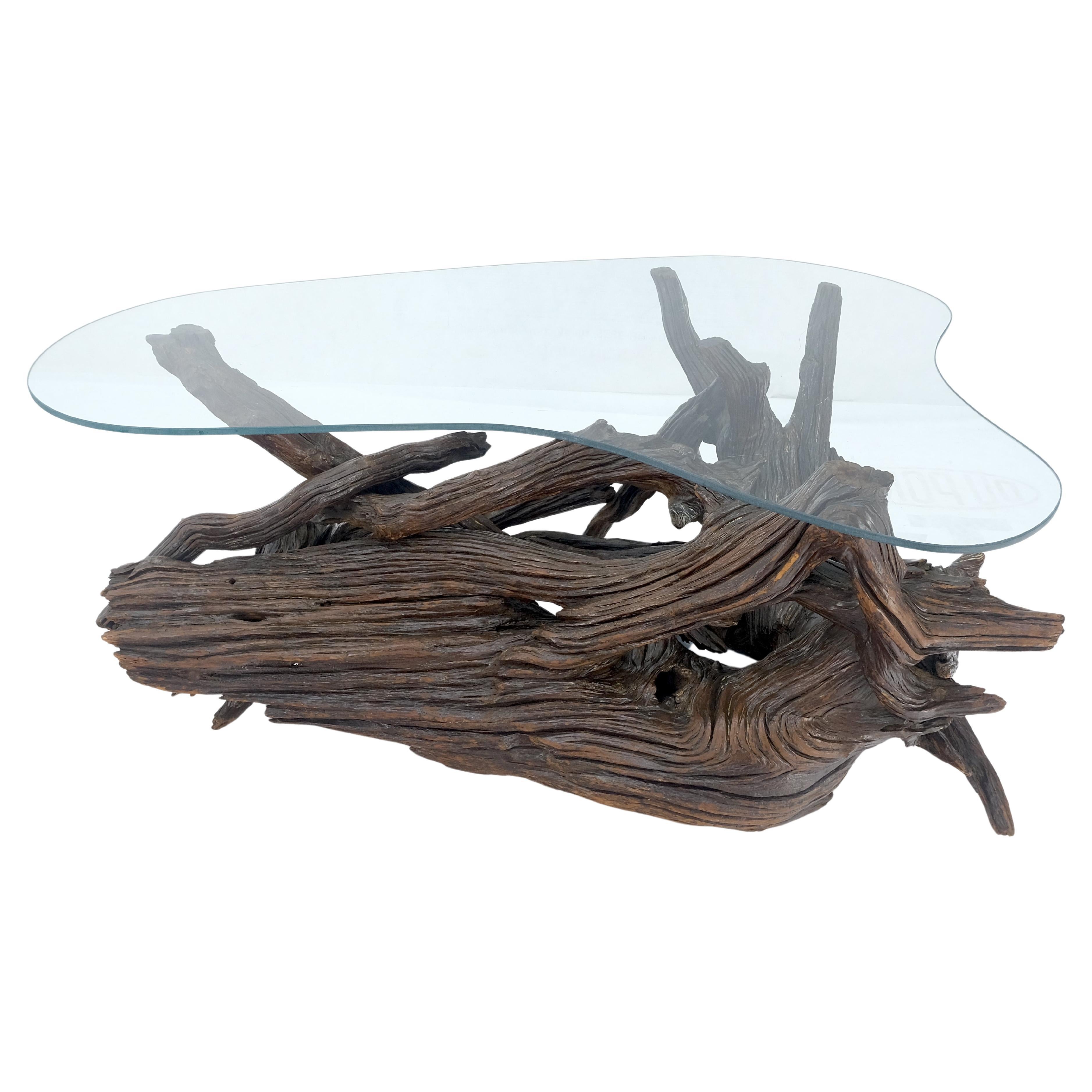Amoeba Glass Top Organic Drift Wood Base Coffee Center Table MINT! For Sale