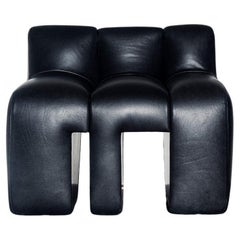 "Amon-Ra's 2024 Casual Throne" - Contemporary Black Leather Club Chair