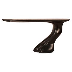 Amorph Frolic modern wall mounted Console, Ebony Stain on Ash wood Facing Right