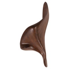 Amorph Lustrous modern wall light in Graphite Walnut stain Ash wood Facing Right