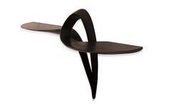 Amorph Orchid Modern Wall Mounted Console Table in Ebony on Ash wood