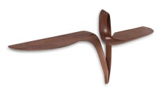 Amorph Orchid  Wall Mounted Console Table in Natural Stain on Walnut Wood